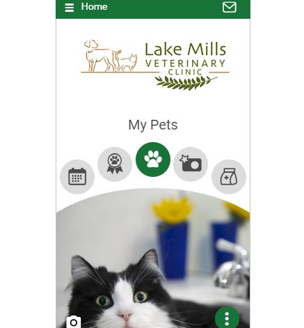 LakeMillsVet app